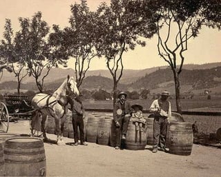 People with horse and barrels in countryside vineyard