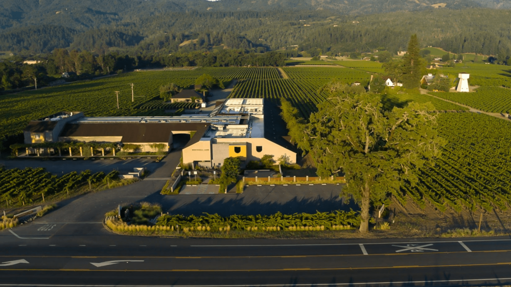 10453Frog’s Leap Winery