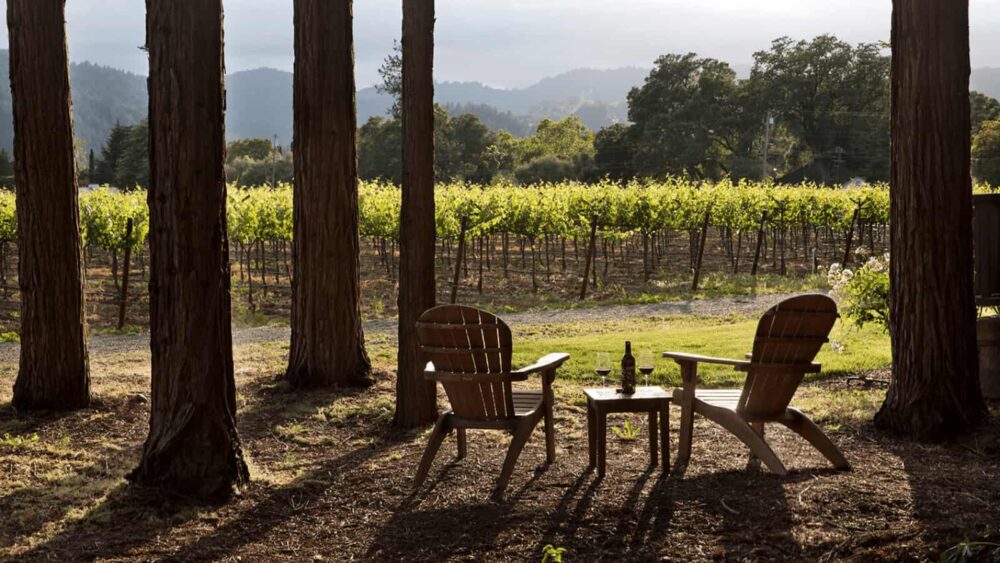 Where to Stay At Harvest Time in St. Helena