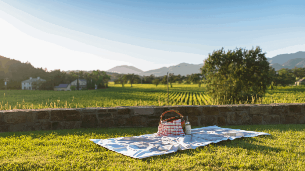 Perfect Picnic Spots in St. Helena