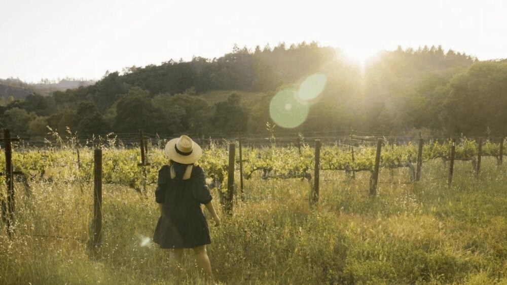 The Weekend Guide To St. Helena, Napa Valley