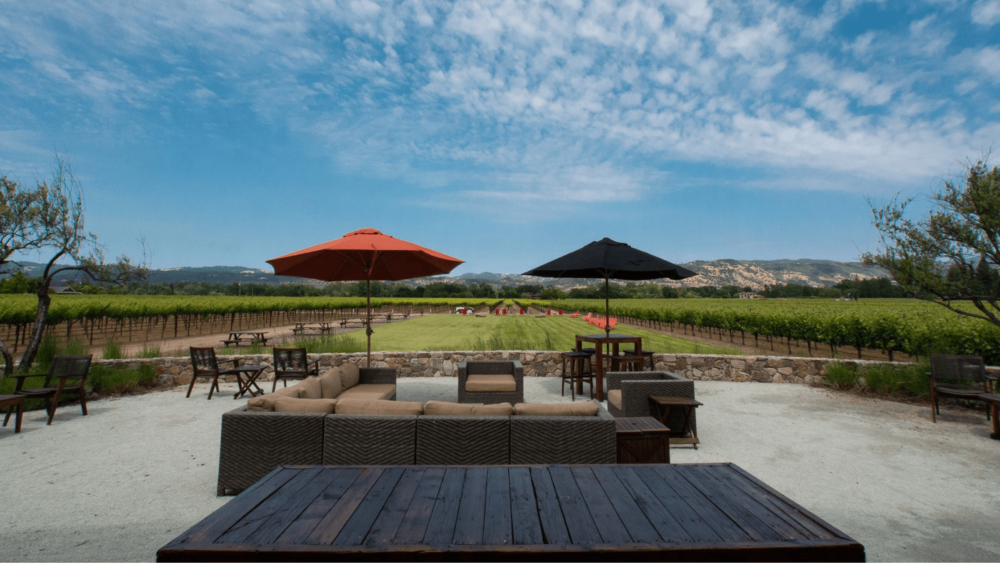 18048Frog’s Leap Winery