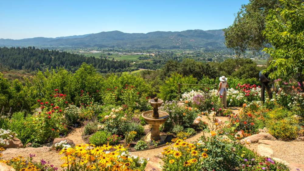 Spring Into St. Helena & Beyond for Endless Wine Country Fun