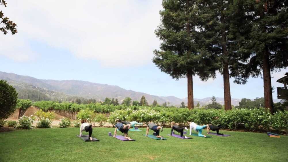 Yoga in the vineyards