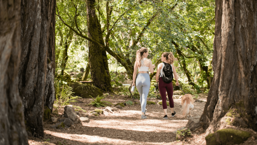 Explore the Great Outdoors in St. Helena