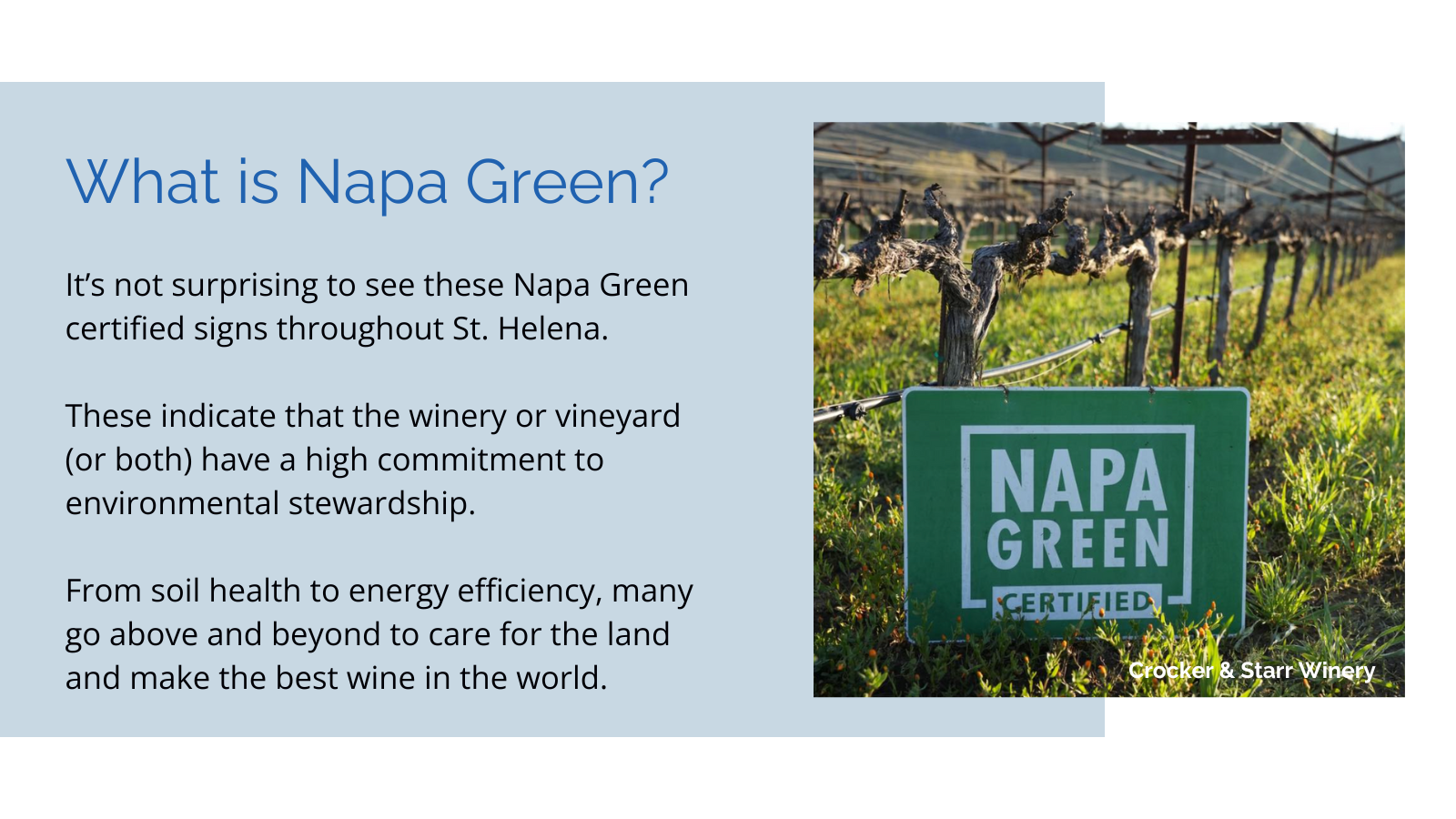 what is napa green