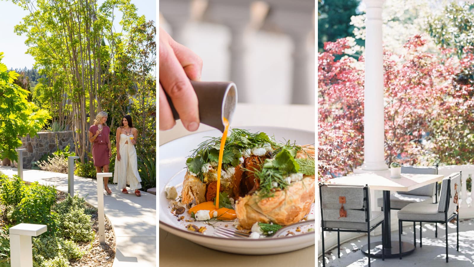 People in garden, gourmet dish, outdoor dining area