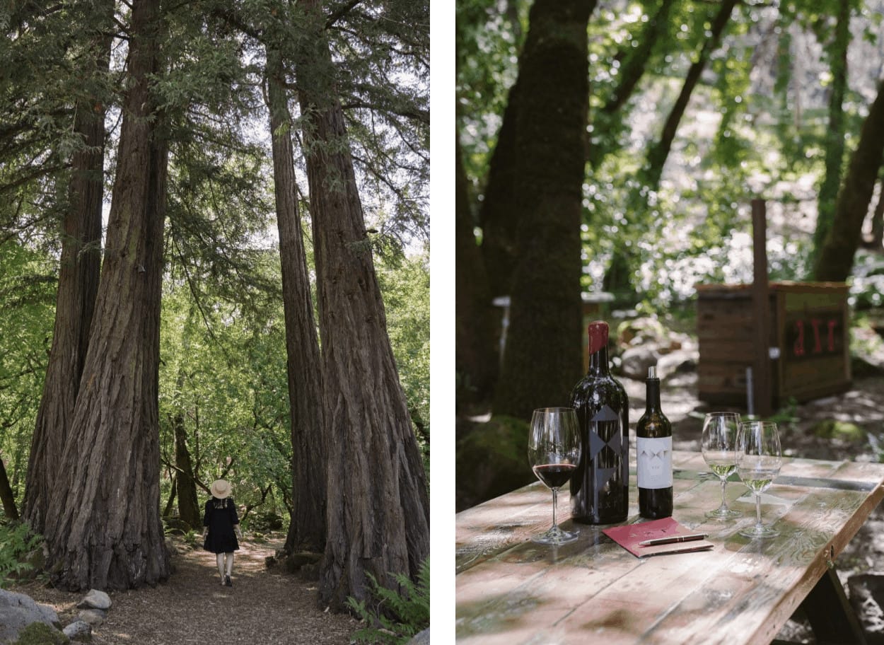Person walking in forest, wine bottles on wooden table.