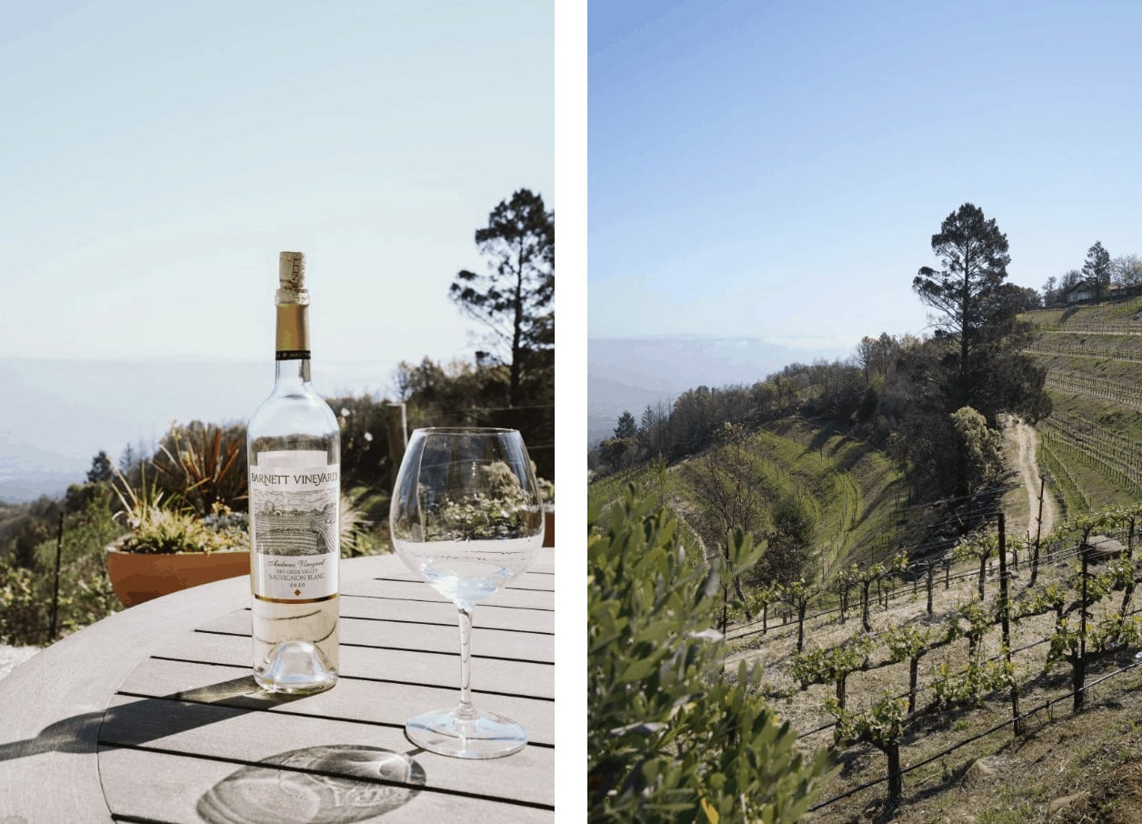 Vineyard view with wine bottle and glass.