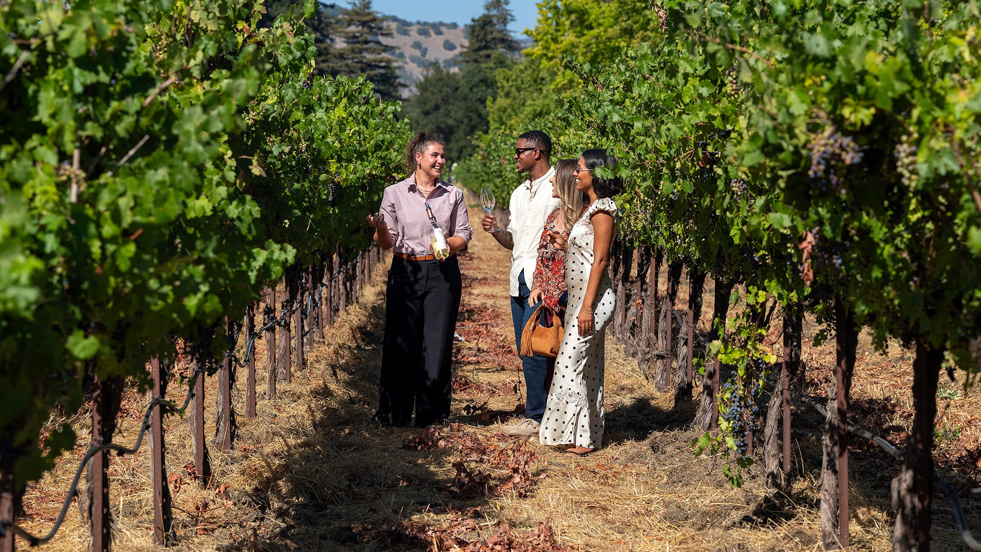 Friends enjoying wine tasting among sunlit vineyard rows