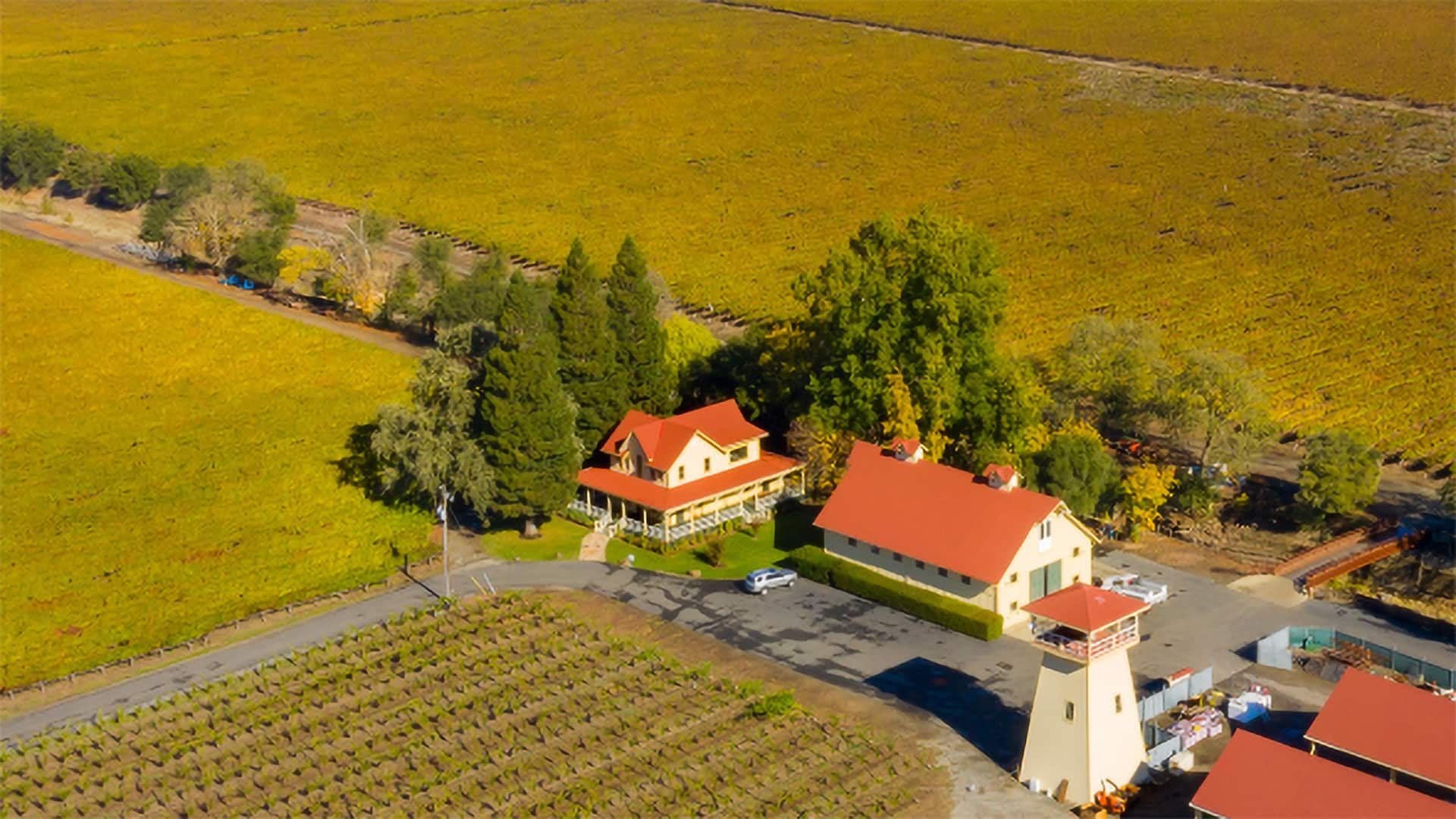 Aerial view of vineyard with red-roofed buildings.