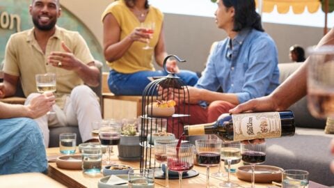Friends enjoying wine together at outdoor gathering