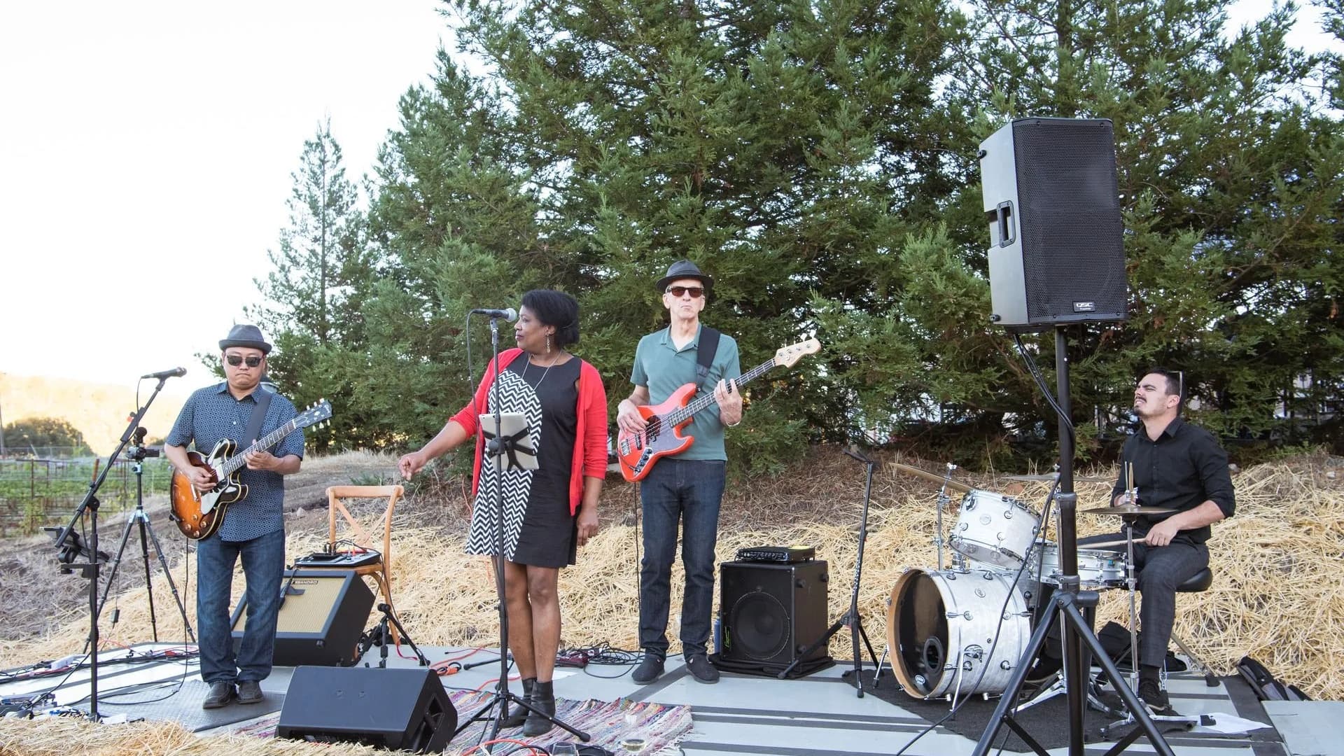 Outdoor band performing with singer and instruments