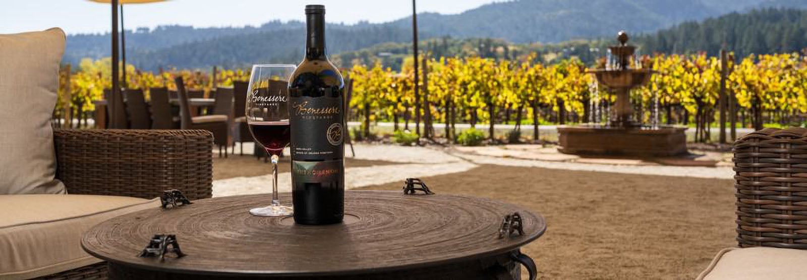 Bottle and glass of wine at vineyard.
