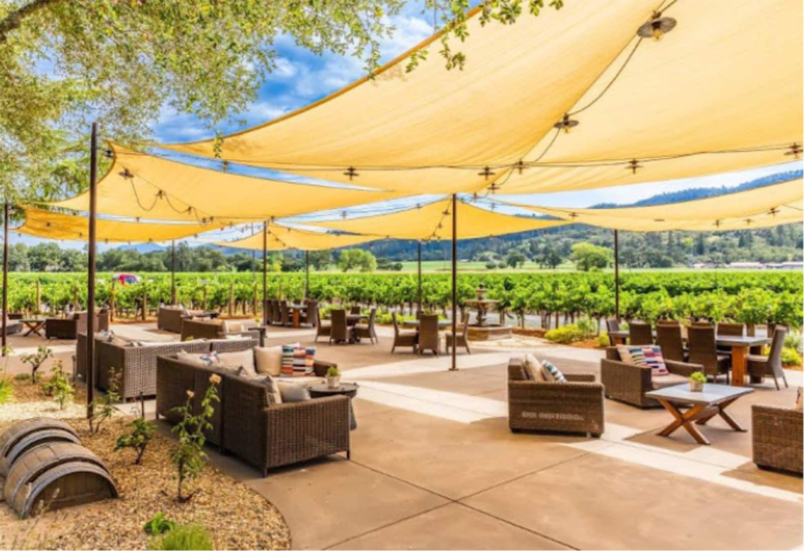 Outdoor seating with vineyard view and sun shades.