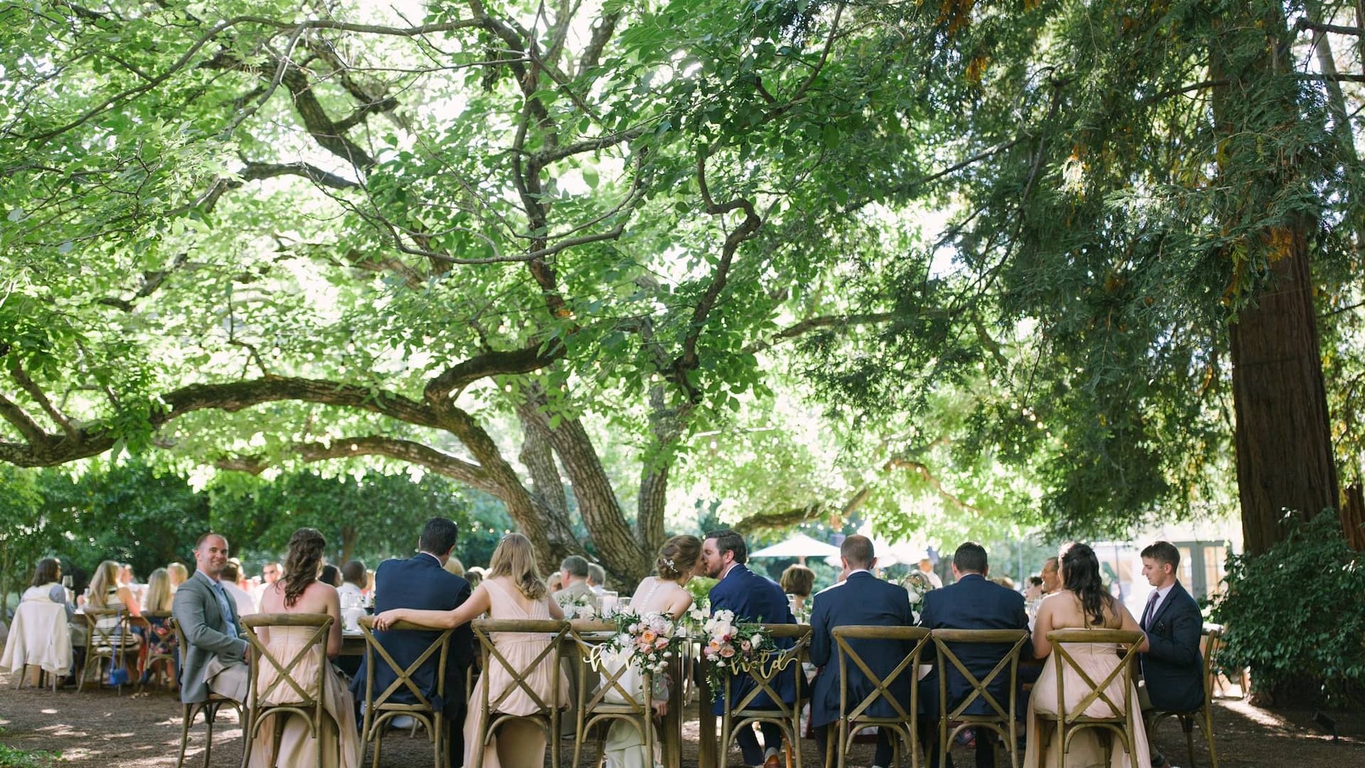 Outdoor wedding reception under large tree with guests.