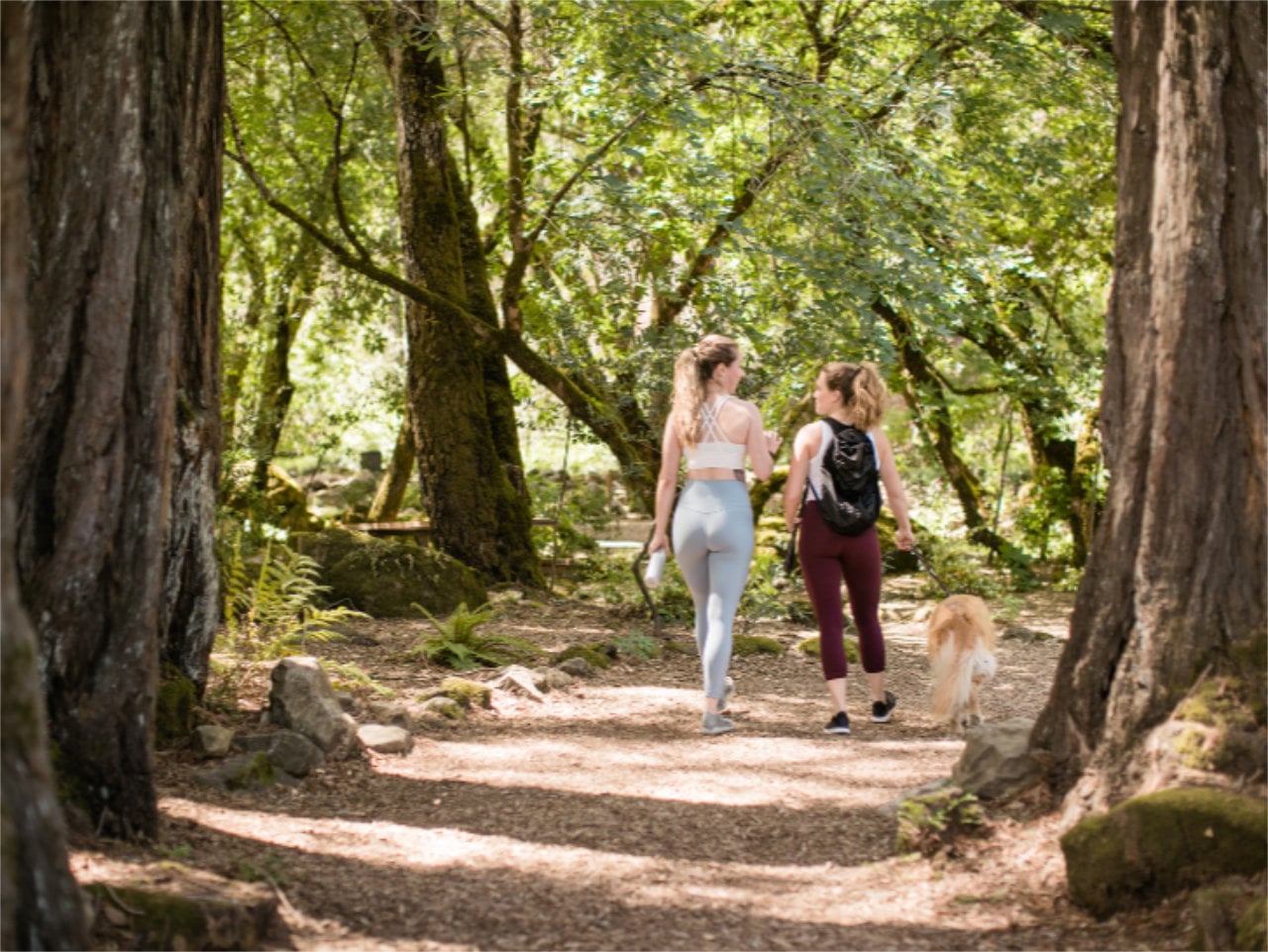 Two women walking dog on forest trail