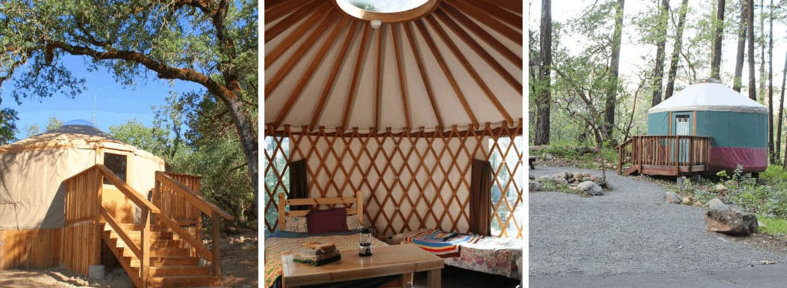 Exterior and interior views of yurts in a forest.