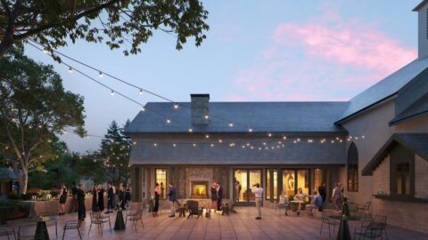 Evening garden party under string lights.
