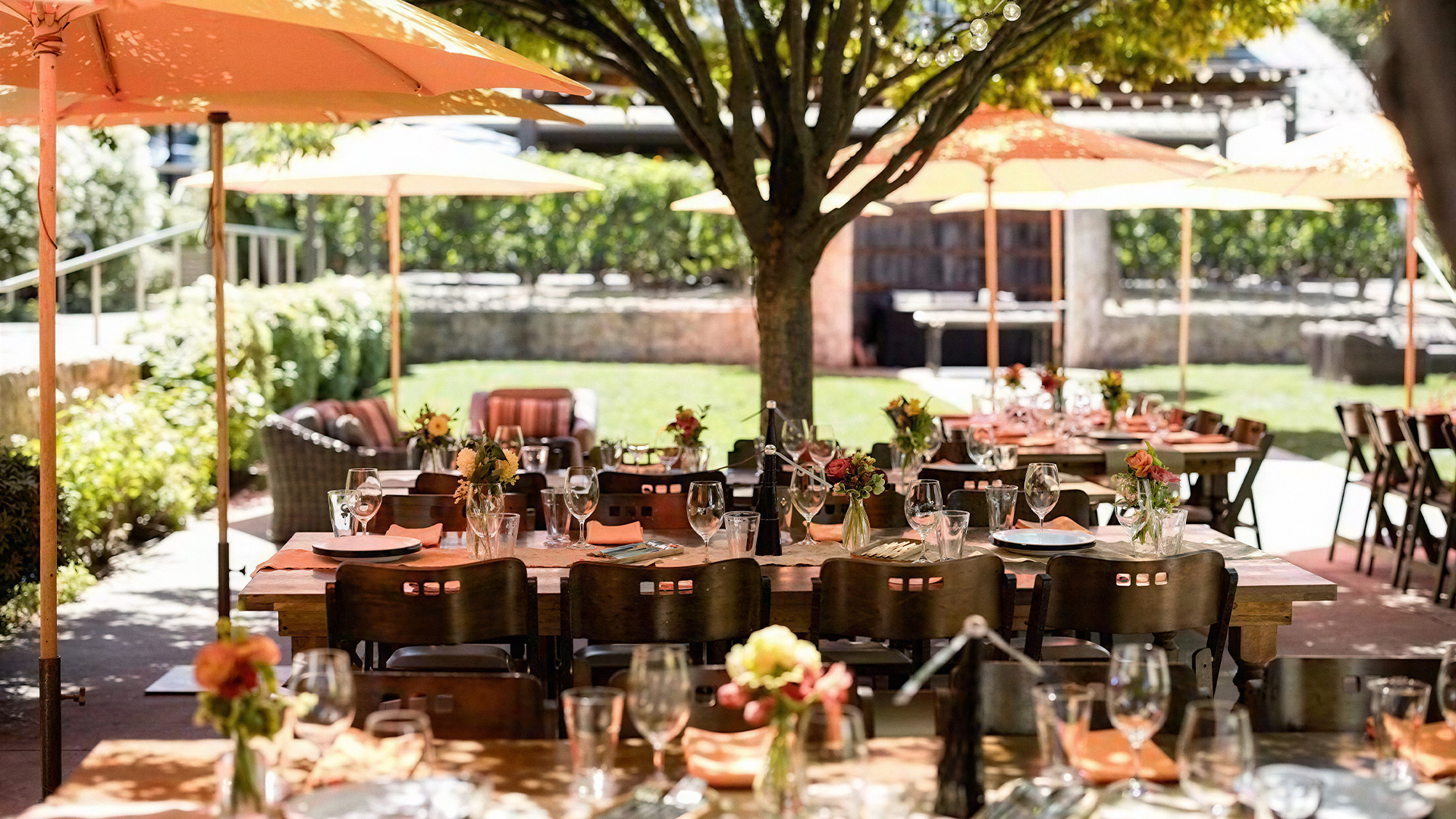 Sunlit outdoor dining tables beneath umbrellas and a tree