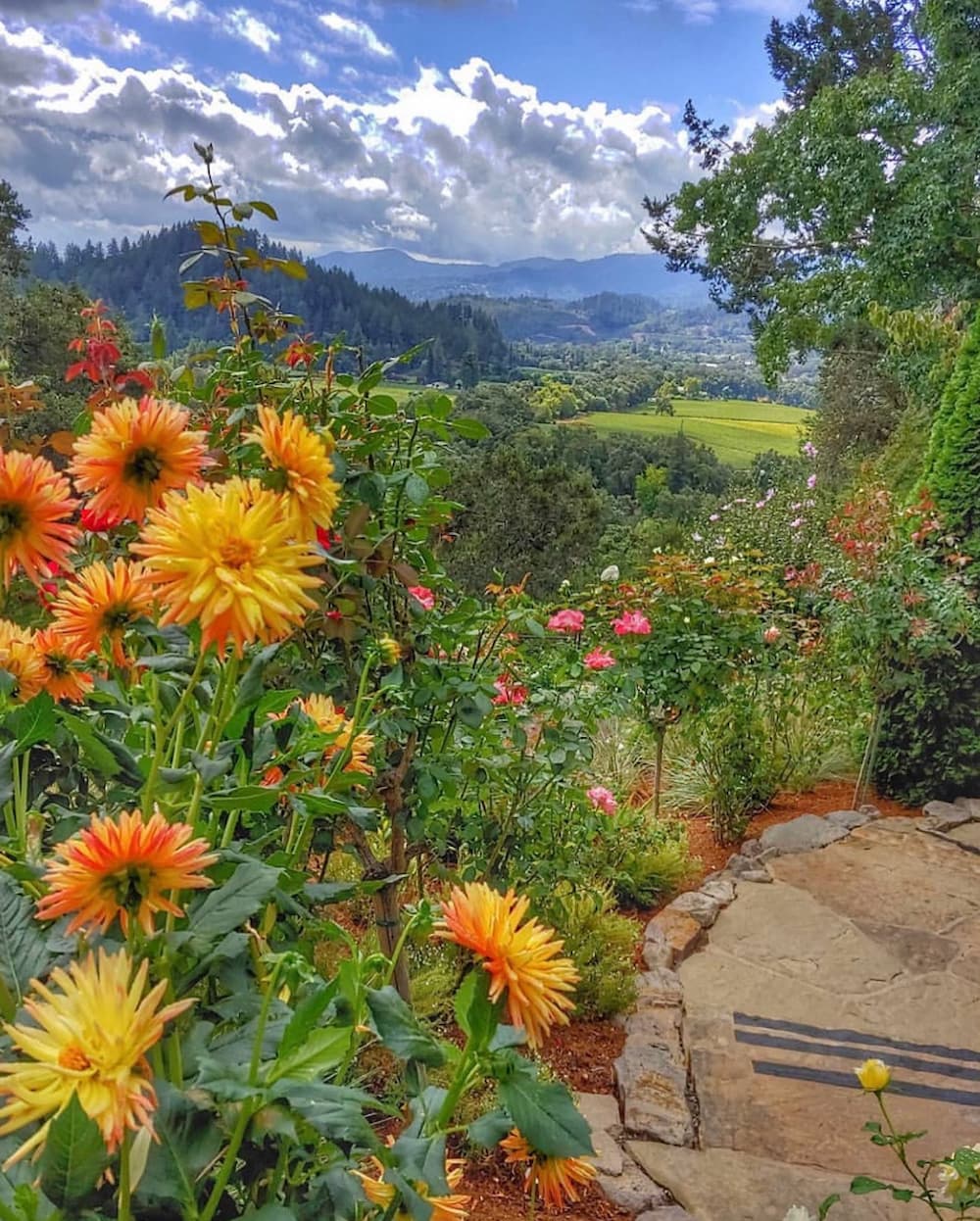 Colorful garden with mountain view under cloudy sky.