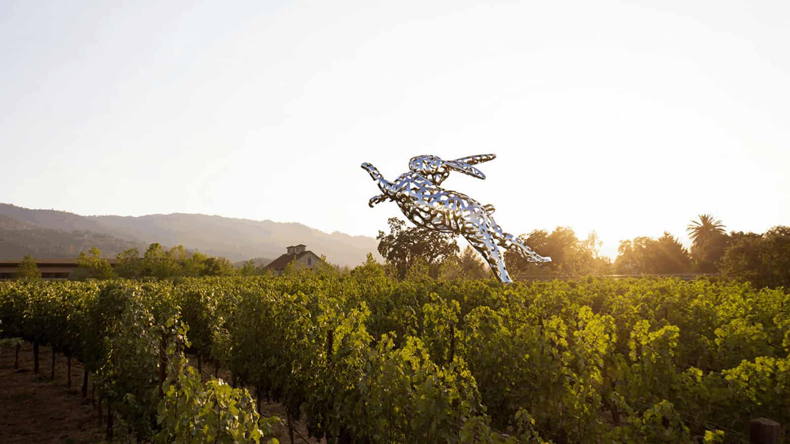 Metal rabbit sculpture in vineyard at sunset.