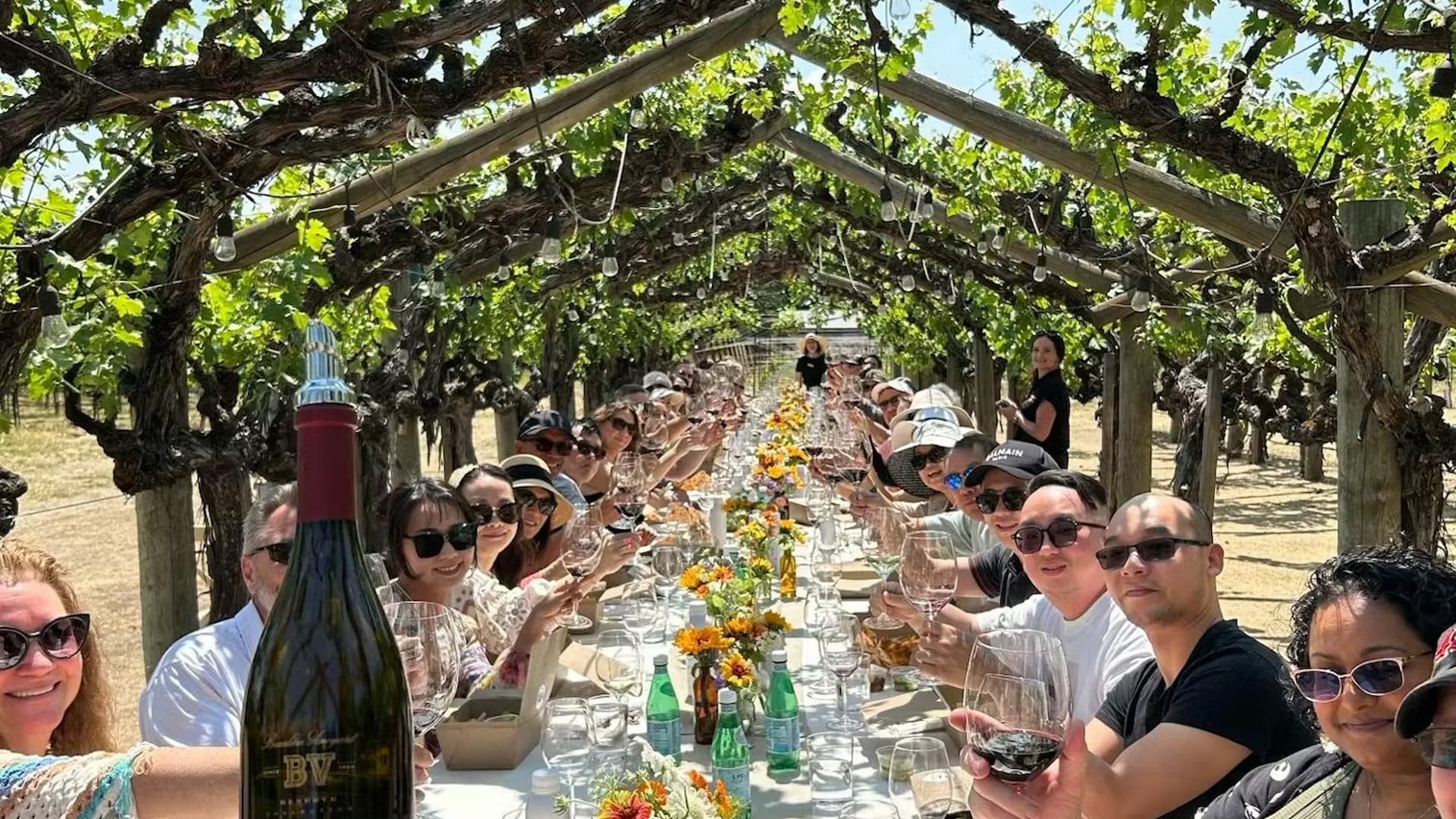 Group enjoying wine tasting under vineyard pergola