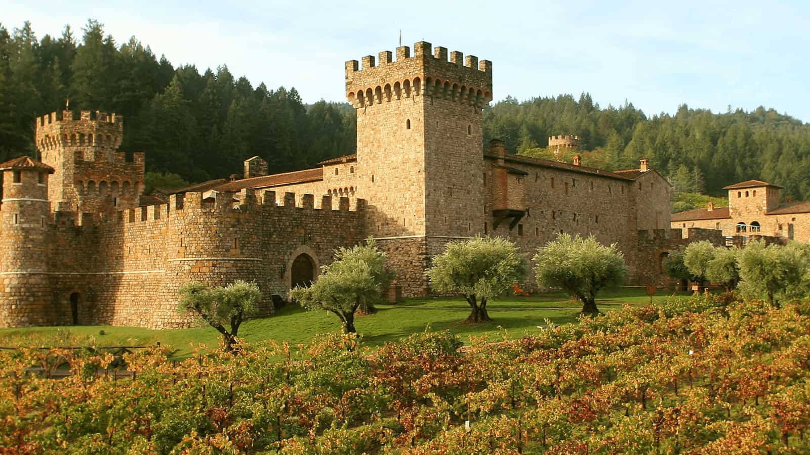 Medieval-style castle with vineyard and trees