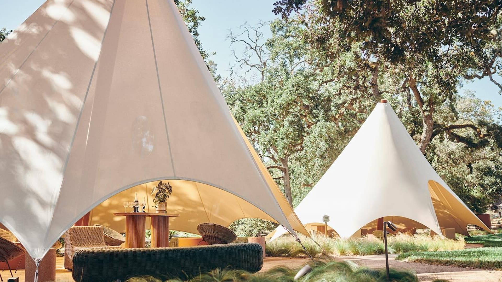 Outdoor canopy tents among trees in sunny setting