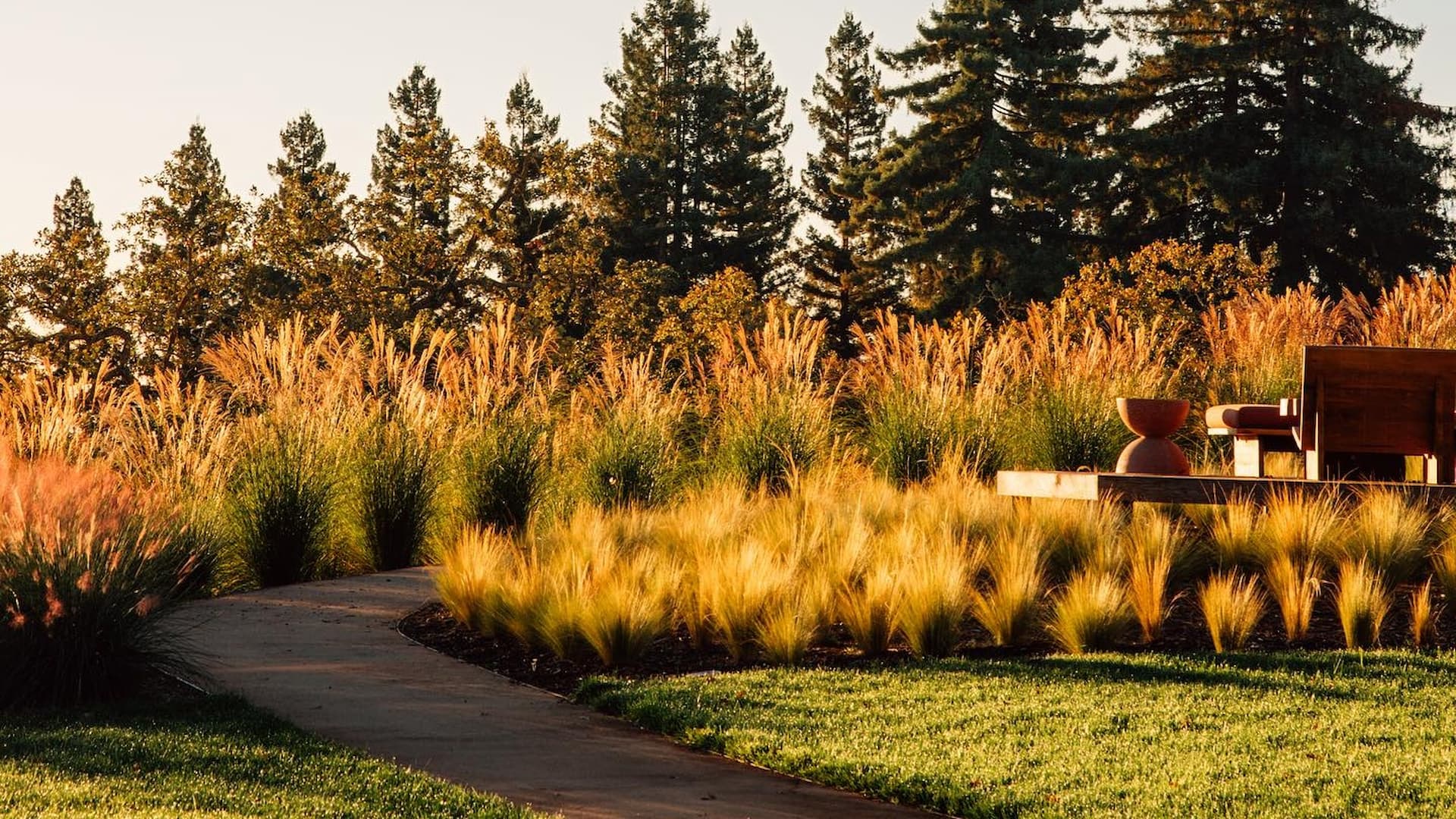 Serene garden path with tall grasses and trees.