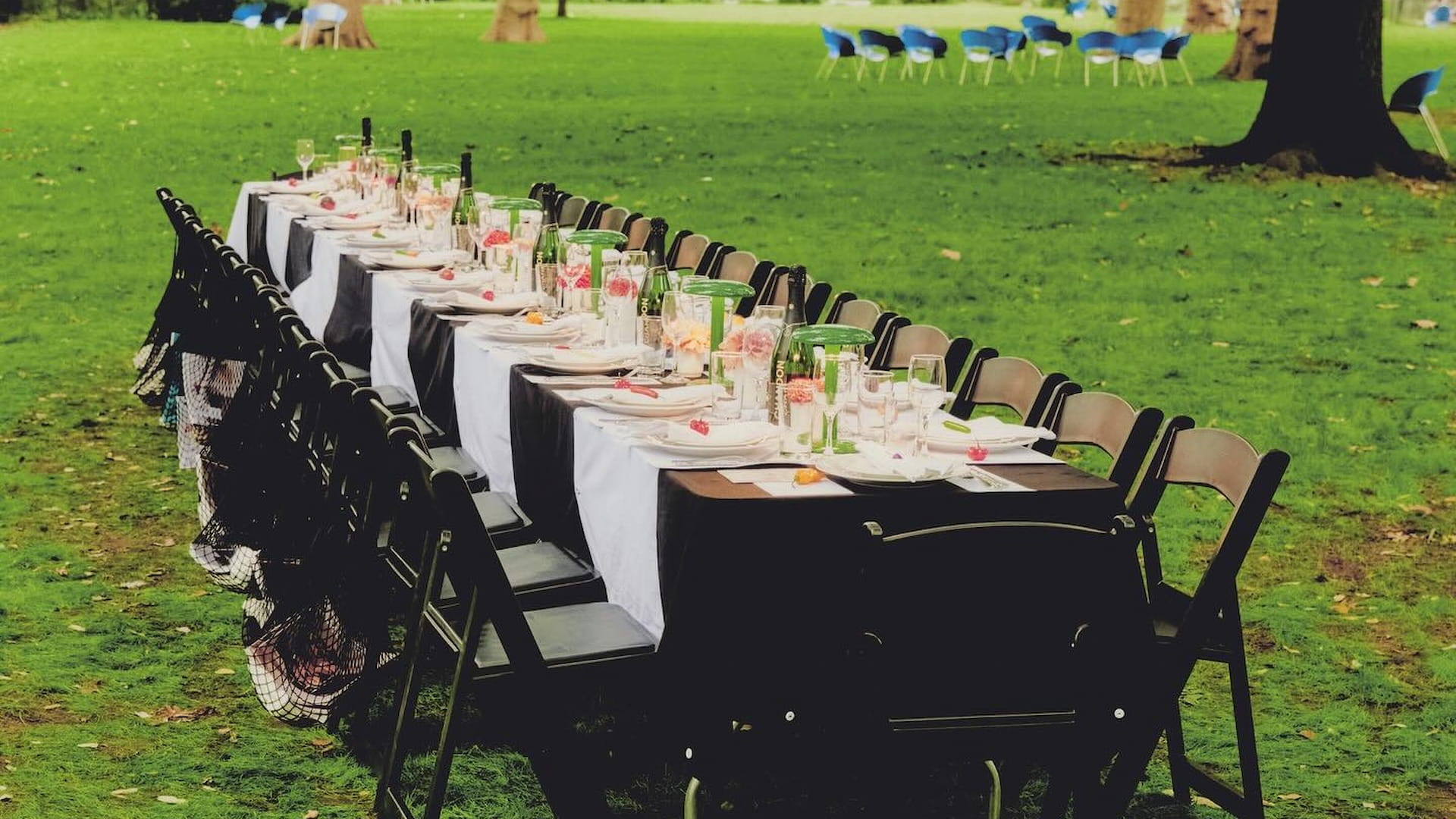 Outdoor banquet table set in a green park.