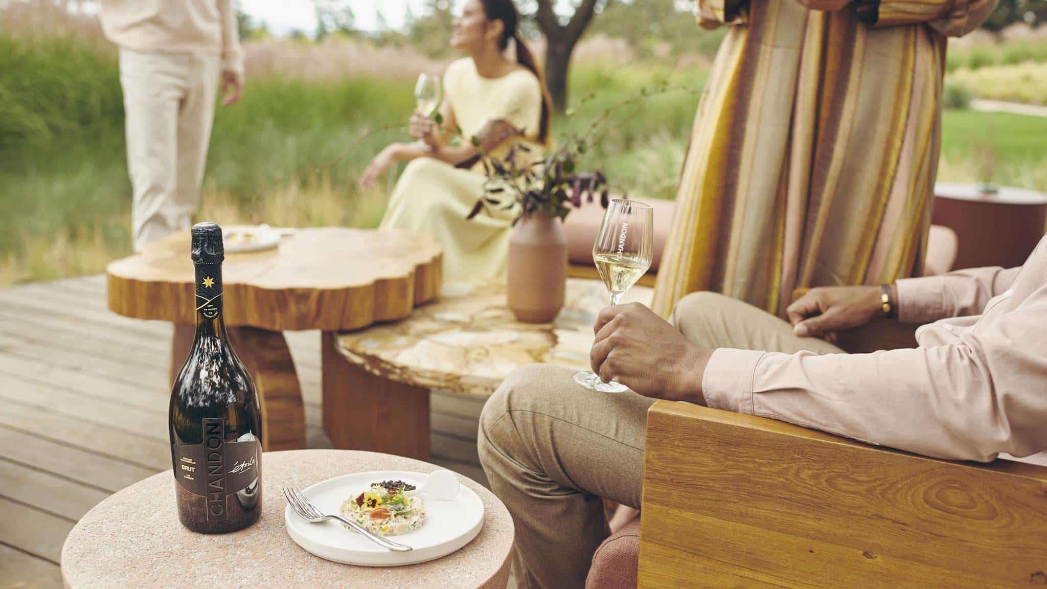 People enjoying wine outdoors on a sunny day
