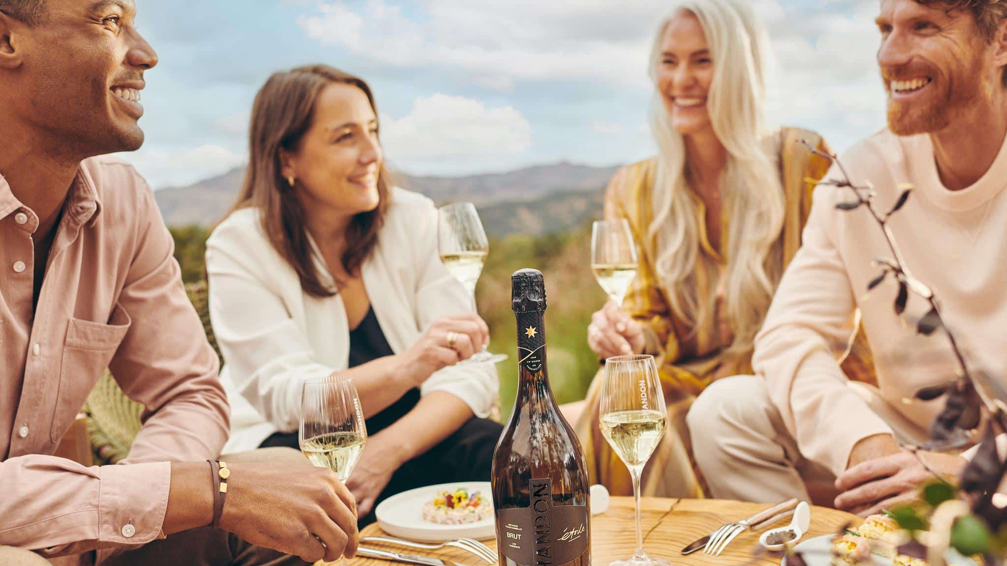 Friends enjoying wine outdoors picnic.