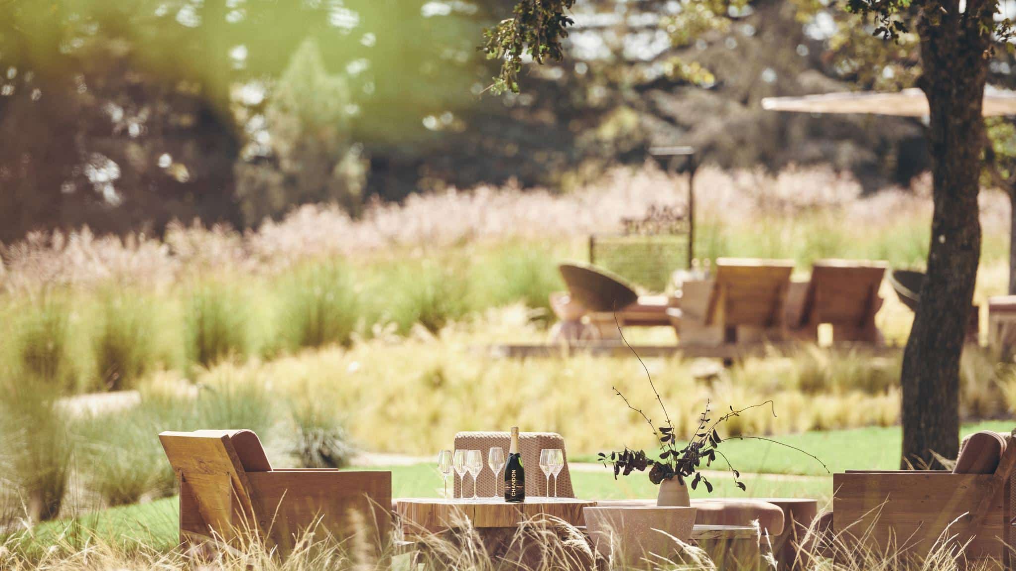 Rustic outdoor seating under trees in garden setting.