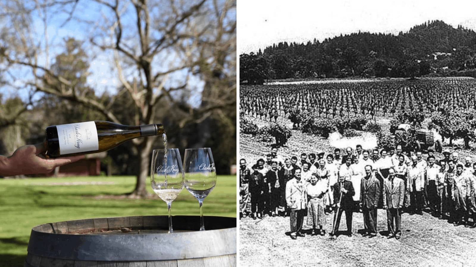 Pouring wine next to vineyard workers group photo