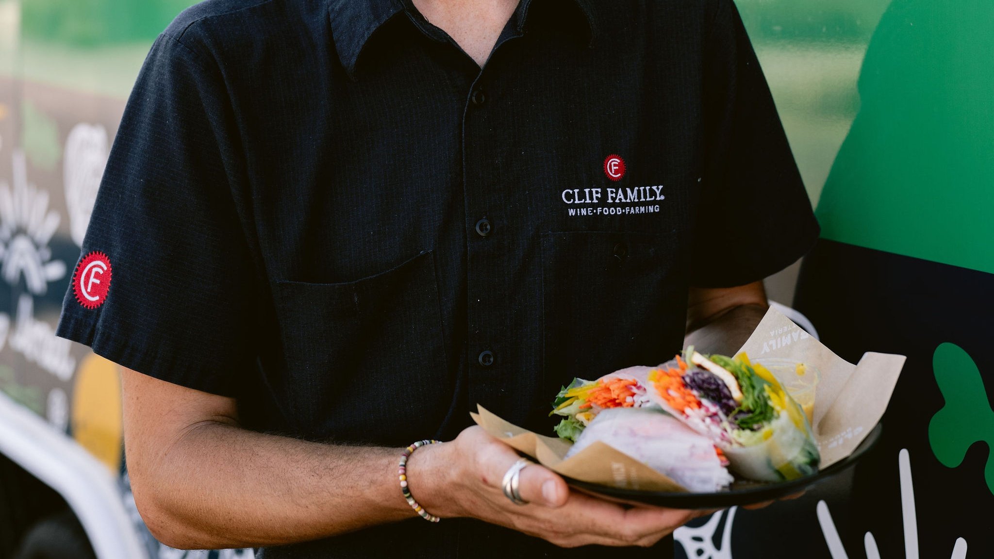 Person holding fresh salad wrap plate