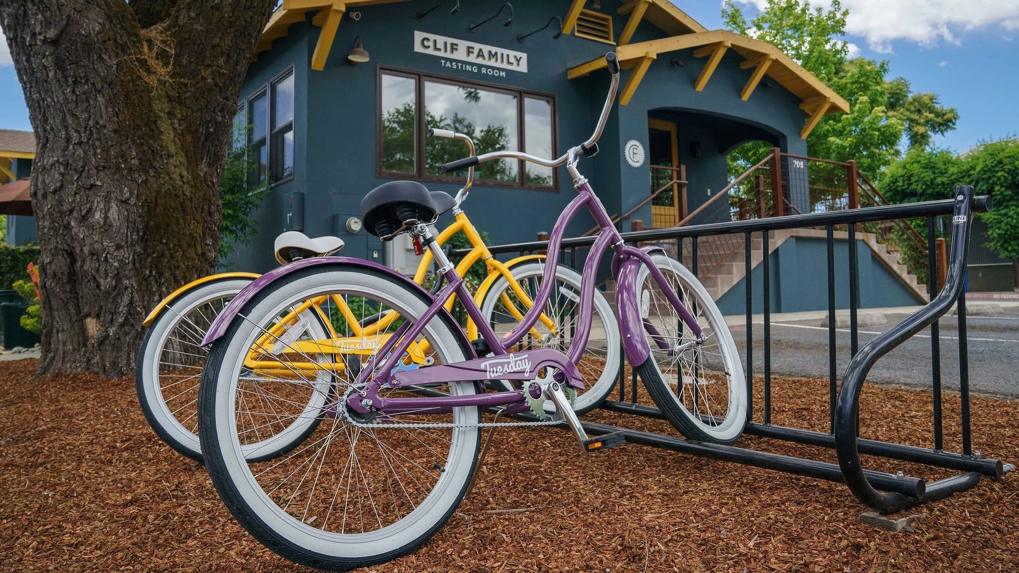 Colorful cruiser bicycles outside Clif Family Tasting Room