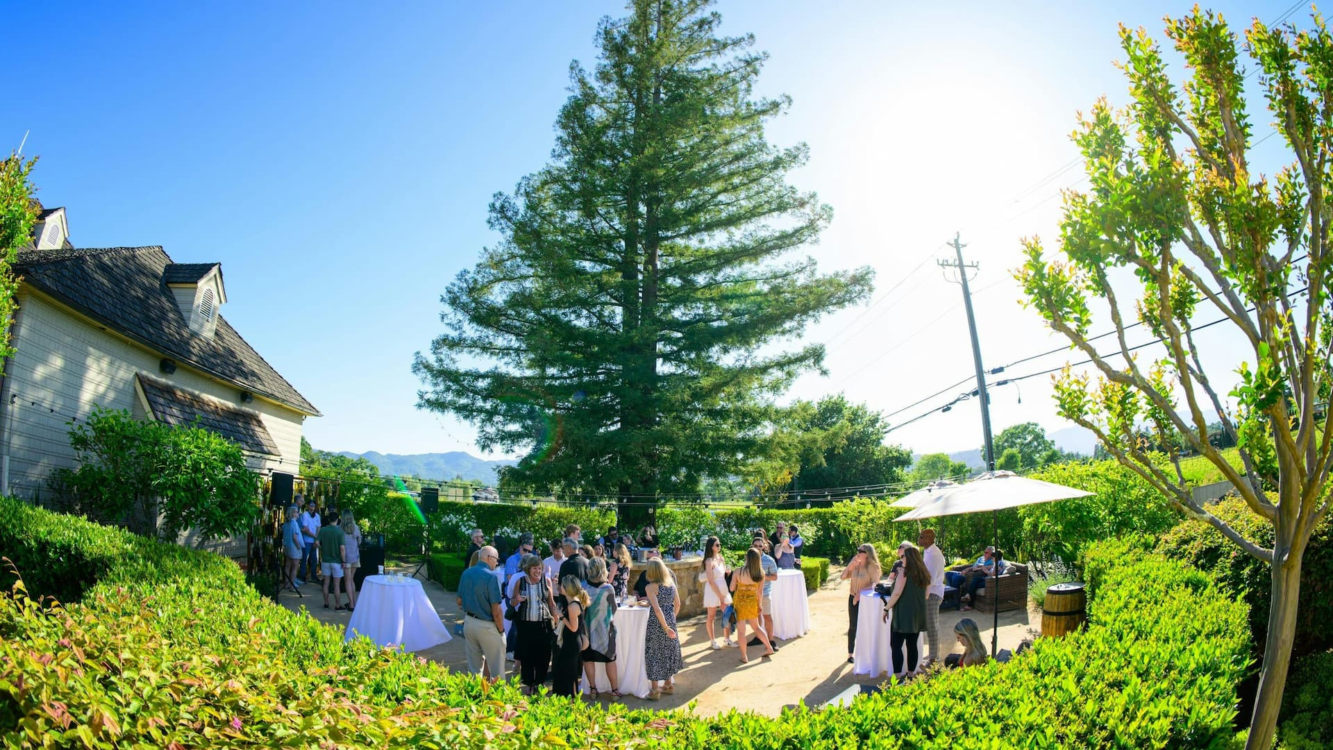 Outdoor gathering with people, trees, and blue sky.
