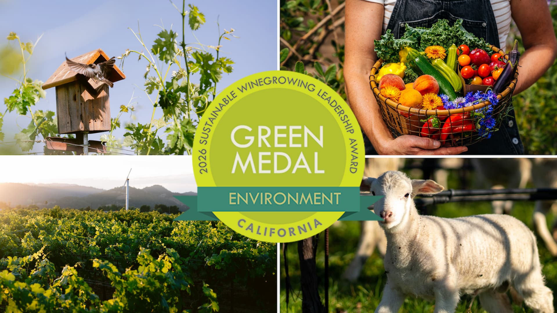 Green Medal sustainability award vineyard collage