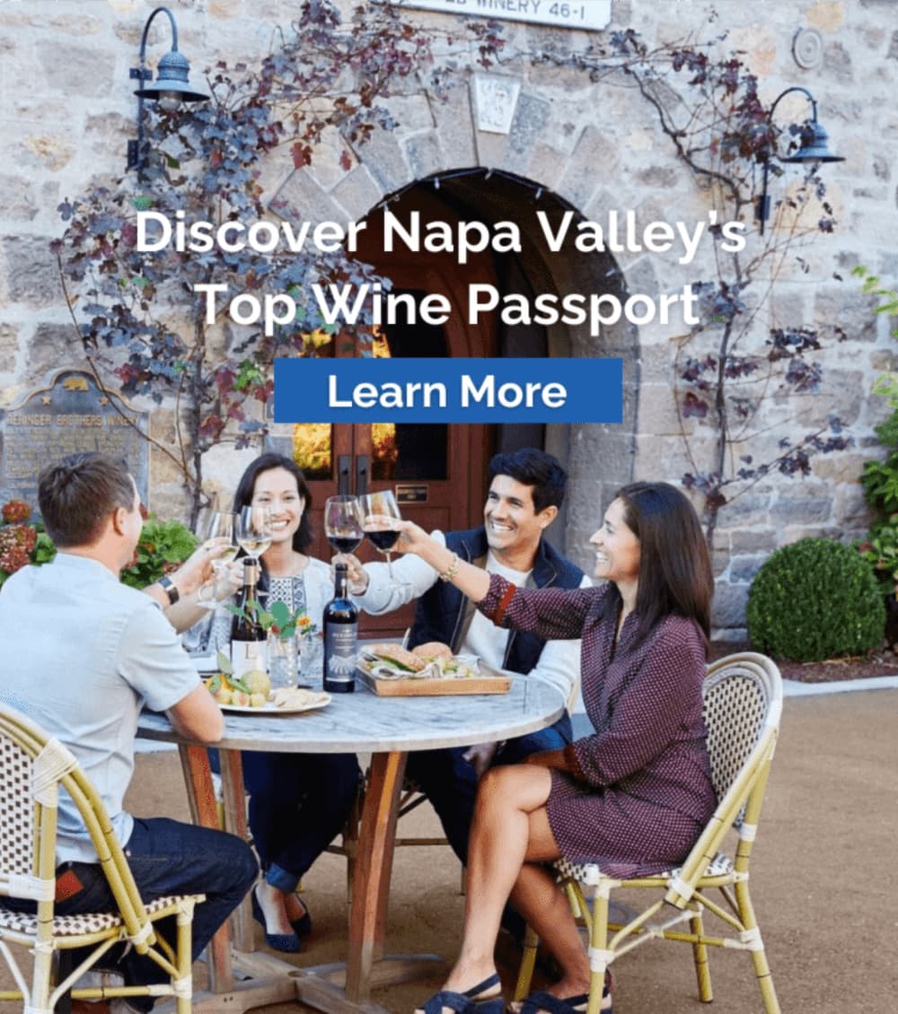 Group toasting with wine at Napa Valley winery.