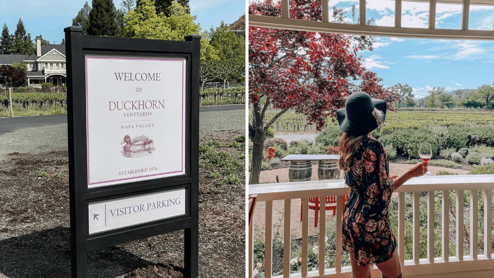 Duckhorn Vineyards Napa Valley visitor enjoying wine