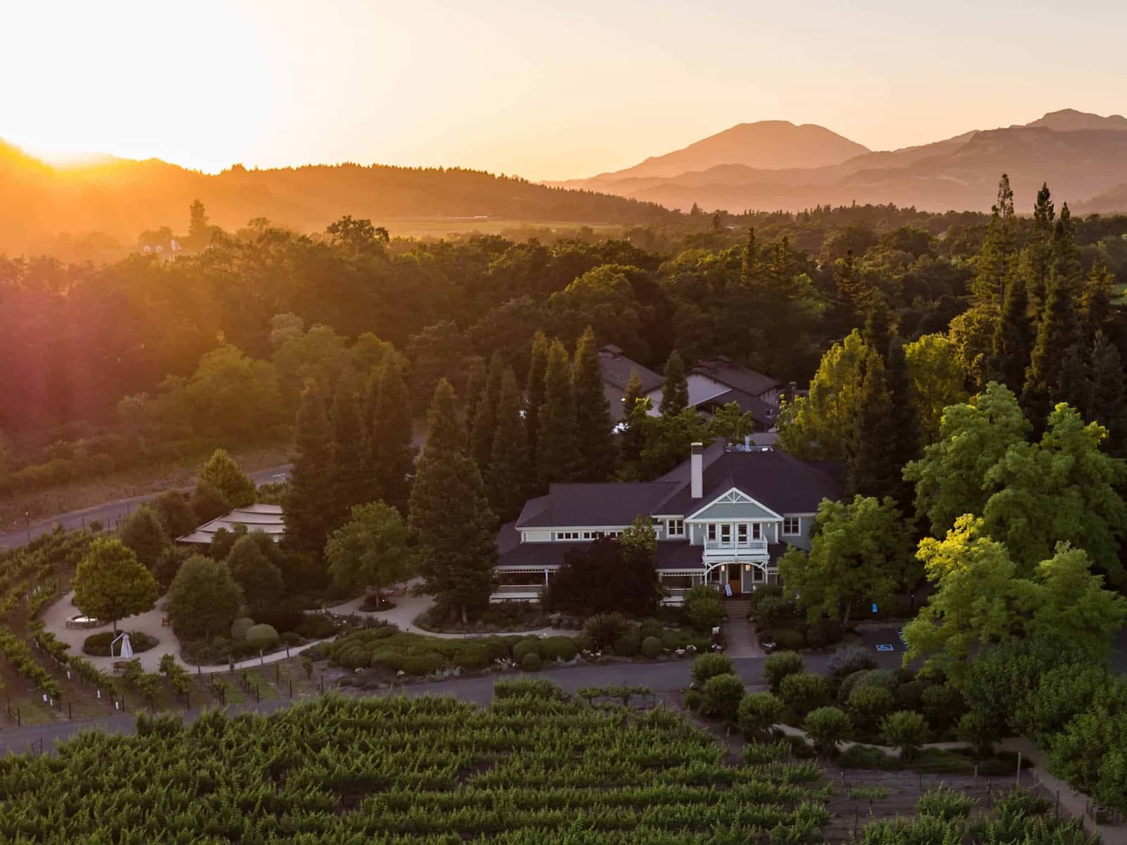 Aerial view of vineyard estate at sunset.