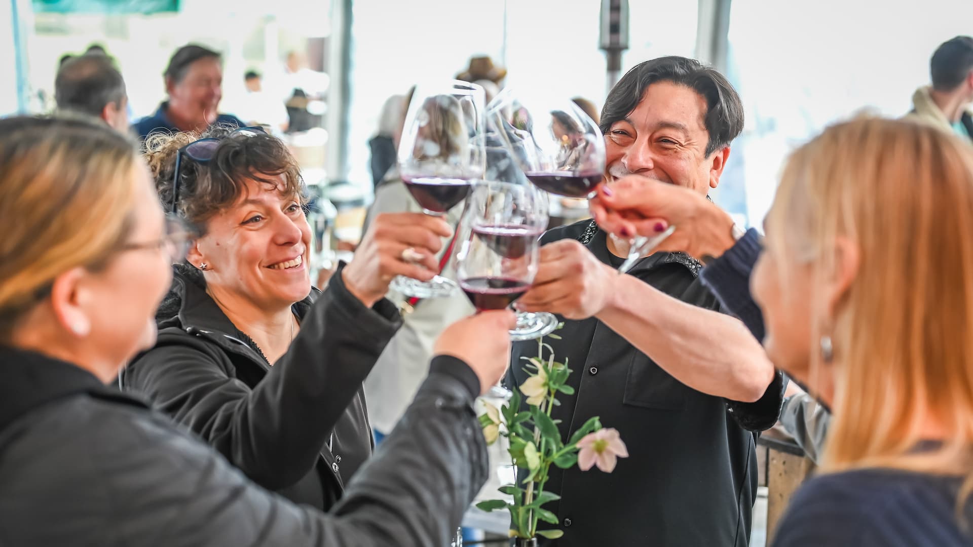 Group of people toasting with wine glasses.