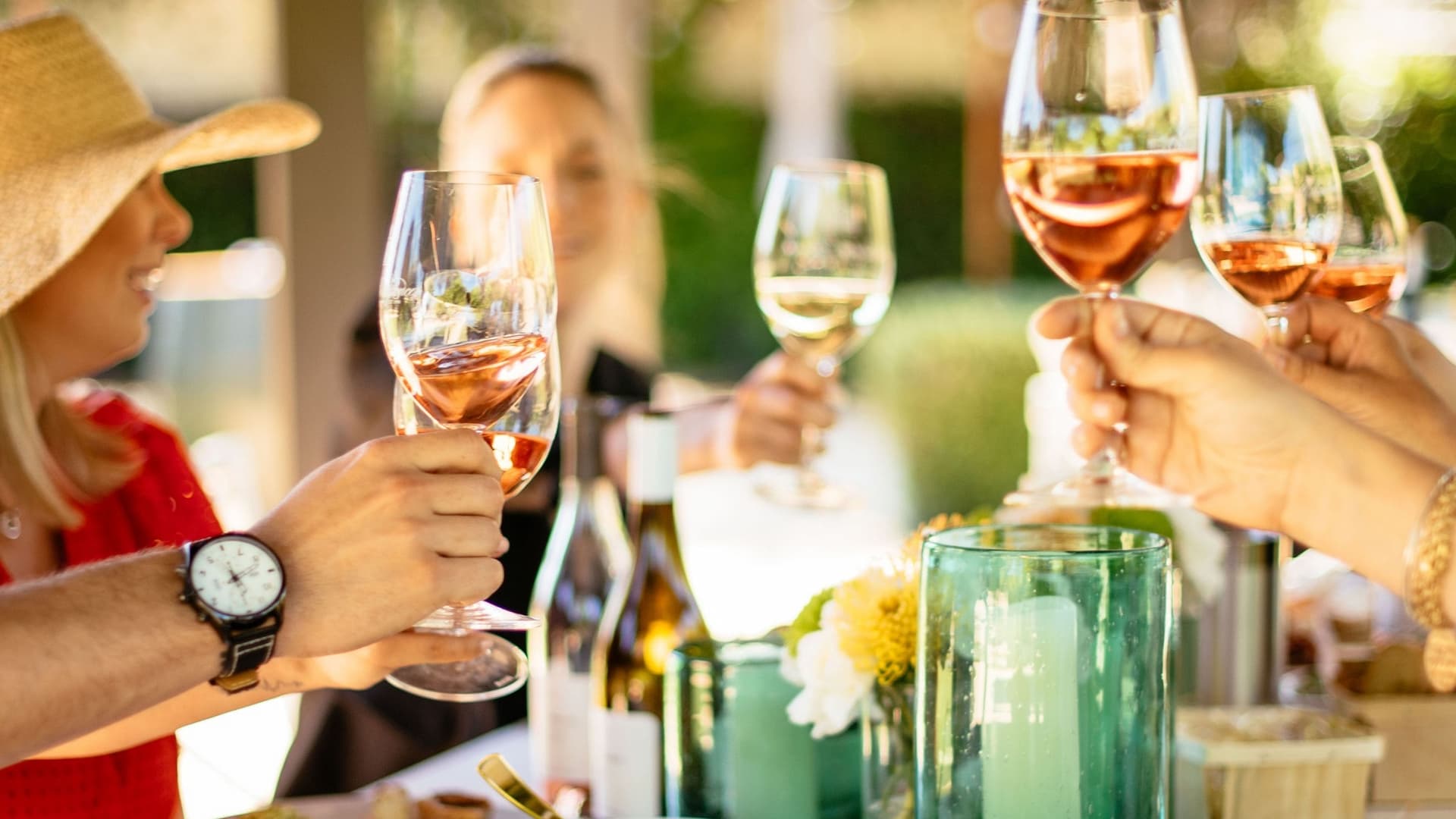 People toasting with glasses at outdoor gathering.