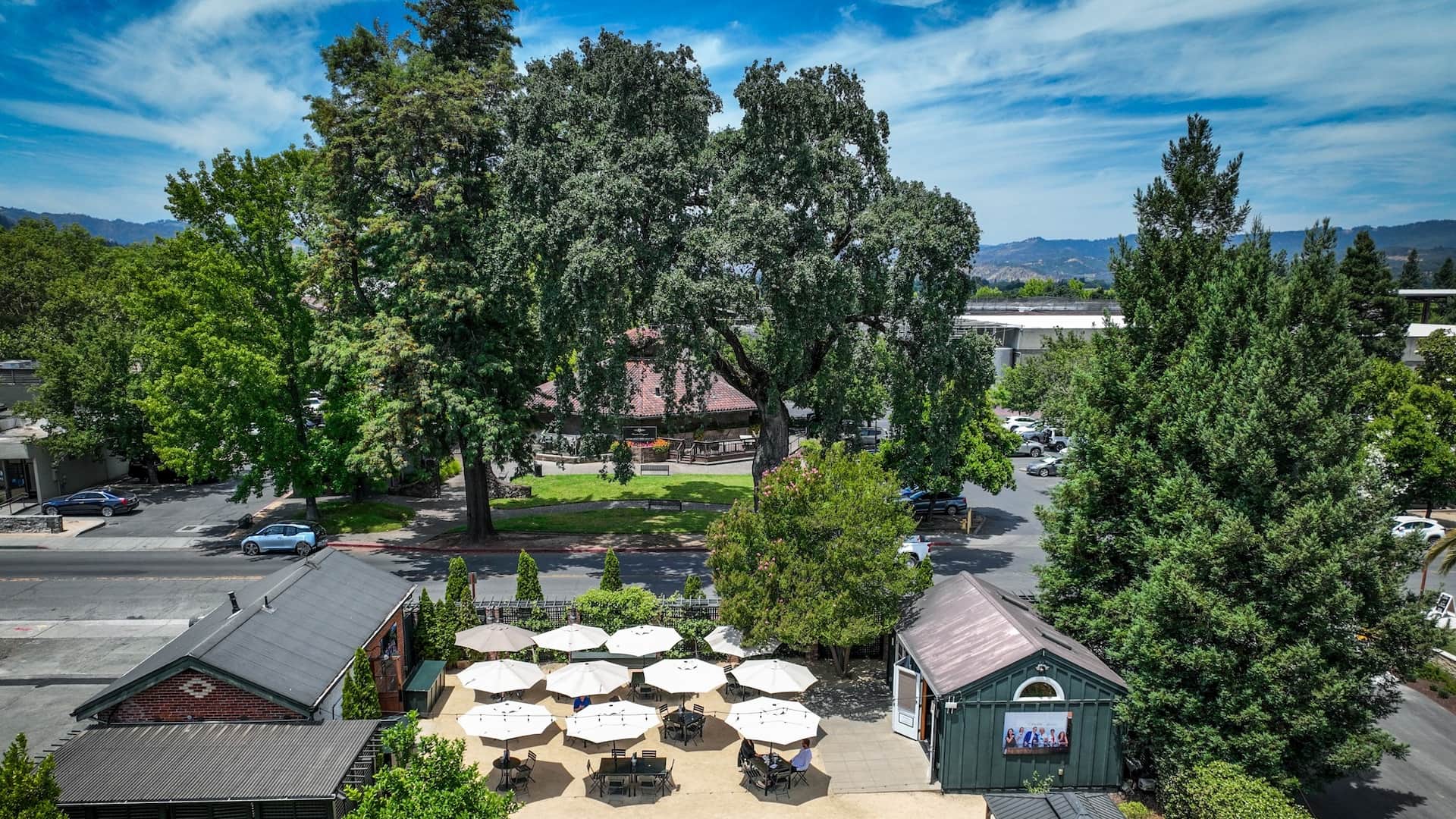 Outdoor restaurant patio with trees and umbrellas.
