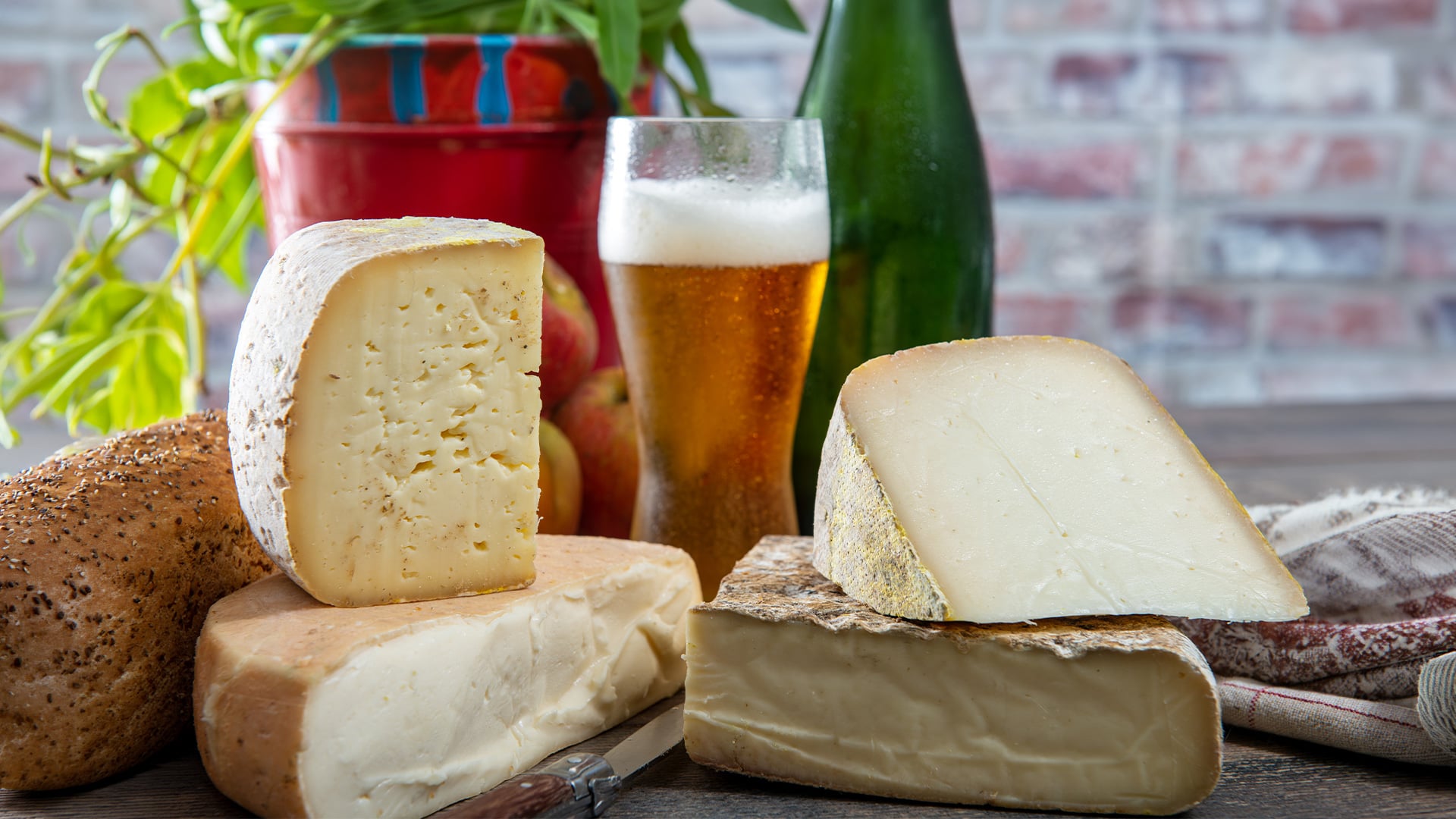 Artisanal cheese wedges, seeded bread, and foamy beer