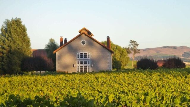 Vineyard landscape with rustic farmhouse