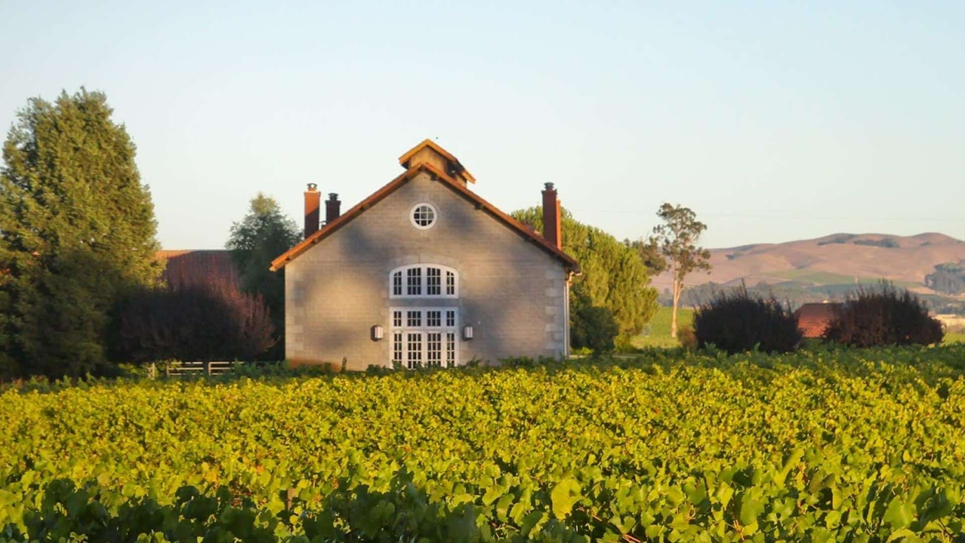 Vineyard landscape with rustic farmhouse