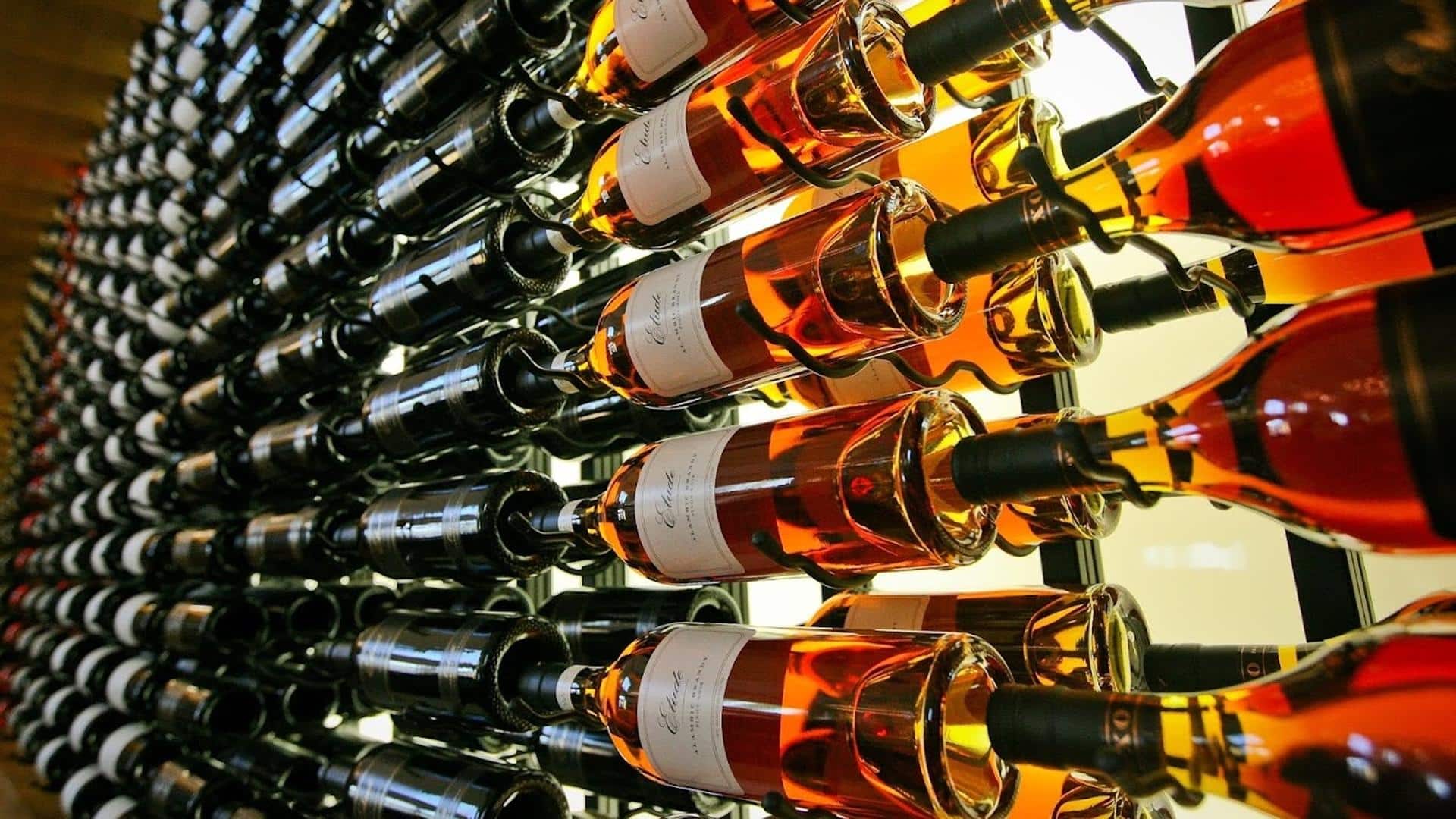 Wall-mounted wine bottles in cellar display