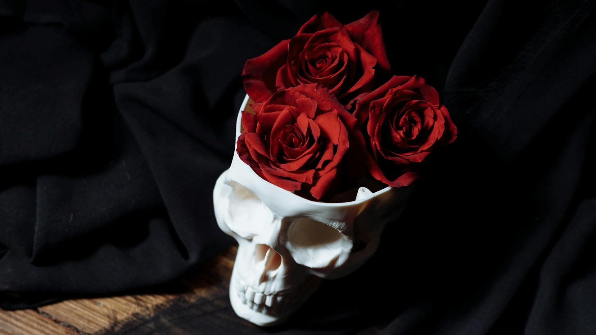 Red roses in a white skull vase.